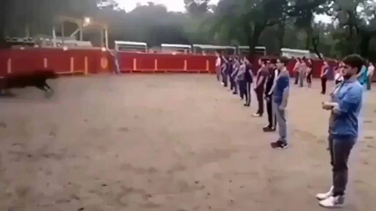 Kızgın boğalarla tehlikeli deney