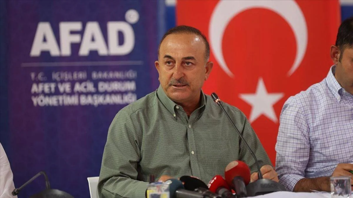 'Manavgat'ta yangının daha ileriye gitmesini müdahaleler sayesinde durdurduk'