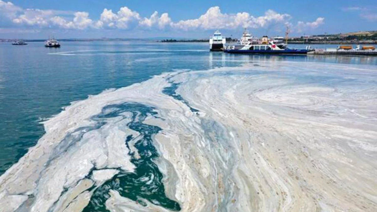 Marmara için yeni tehdit