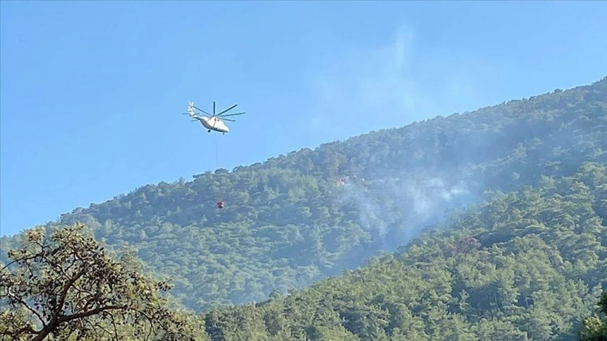 Milas'ta orman yangını
