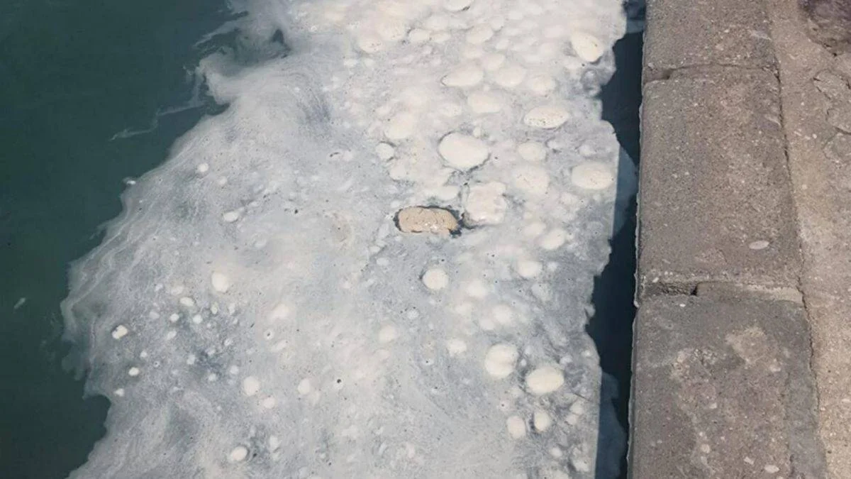 Muğla'da tatilcileri tedirgin eden görüntü