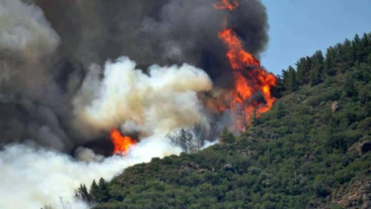 Muğla ve Antalya'da orman yangınları söndürüldü mü? Yangın nerelerde devam ediyor?