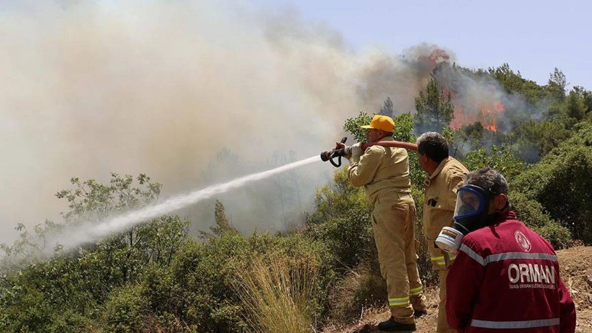 OGM: 145 yangın kontrol altında, 9'u devam ediyor