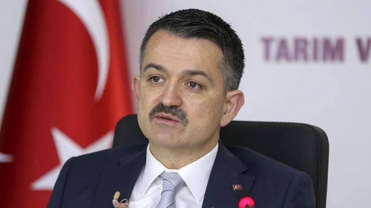 Pakdemirli: Muğla ve Aydın yangınları kontrol altına alındı