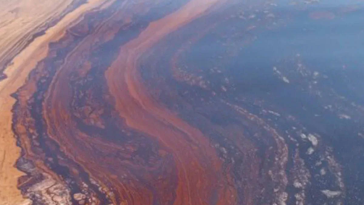 Petrolü ve dizel yakıtı temizleyebilen yeni bakteri türleri keşfedildi