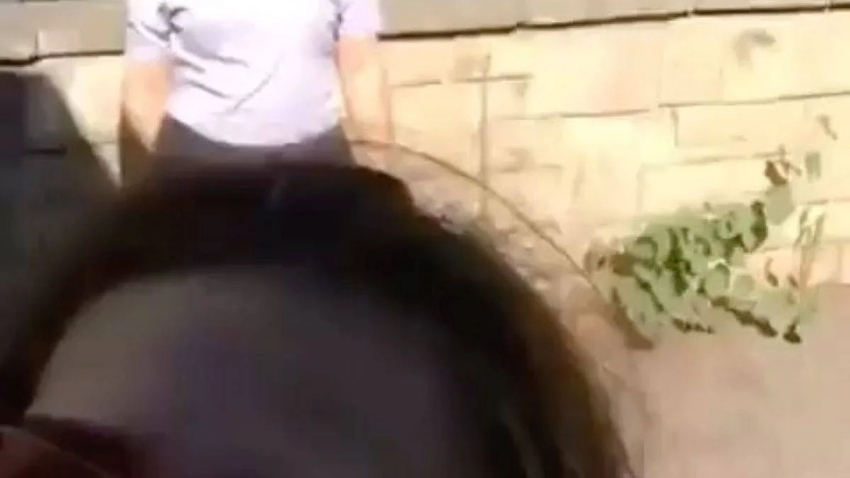 Şarkıcı Irmak'a bir tepki de İzzet Çapa'dan: Komple deliriyoruz