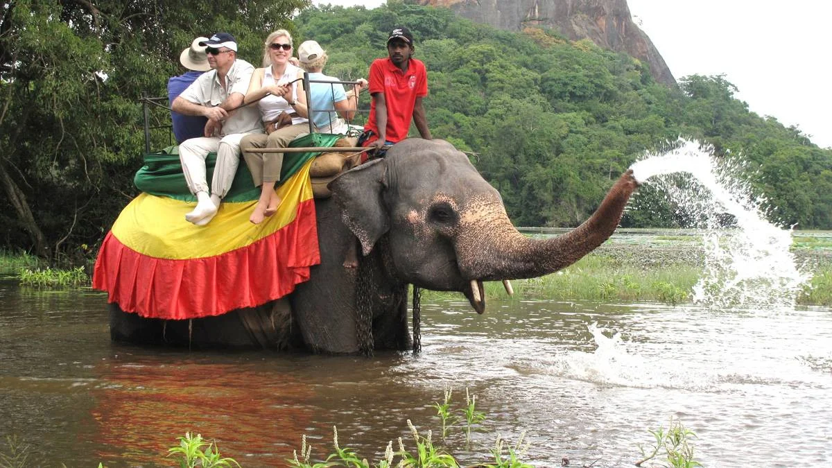 Sri Lanka'da fillerin 4 saatten fazla çalıştırılması yasaklandı