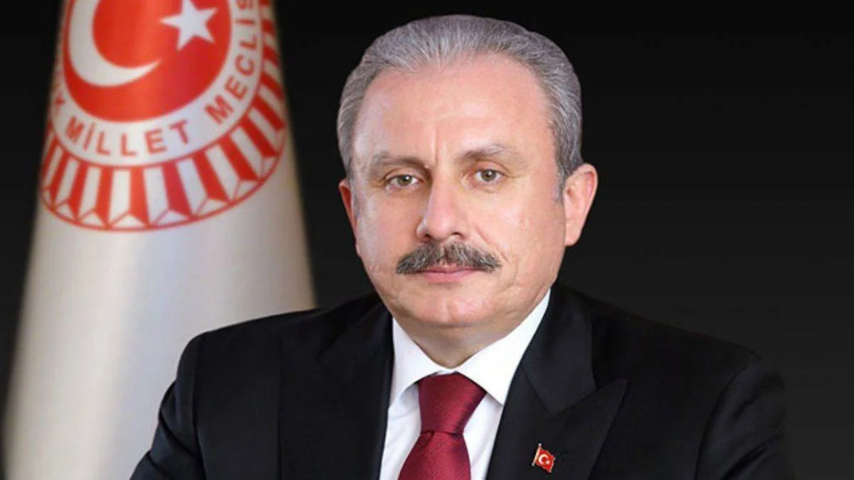 'Yanan alanlarda yapılaşma' iddiaları hakkında açıklama