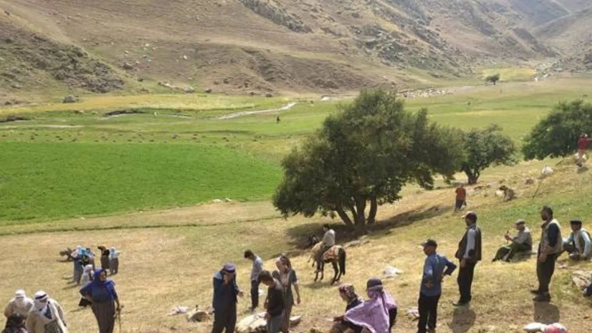 Yıldırım isabet eden 30 koyun telef oldu