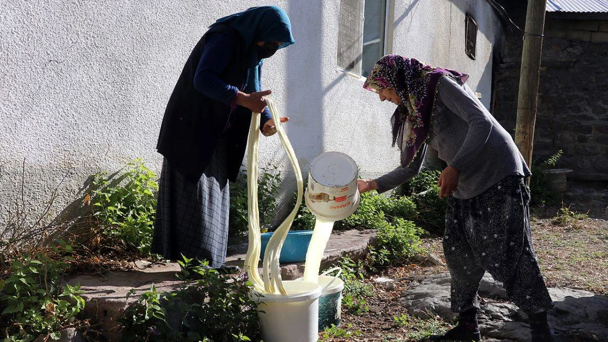 Ağrı'nın el emeği tel peyniri 3 yıl bozulmuyor