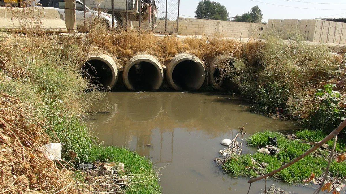 Akdeniz'e akan Litani Nehri hastalık saçıyor