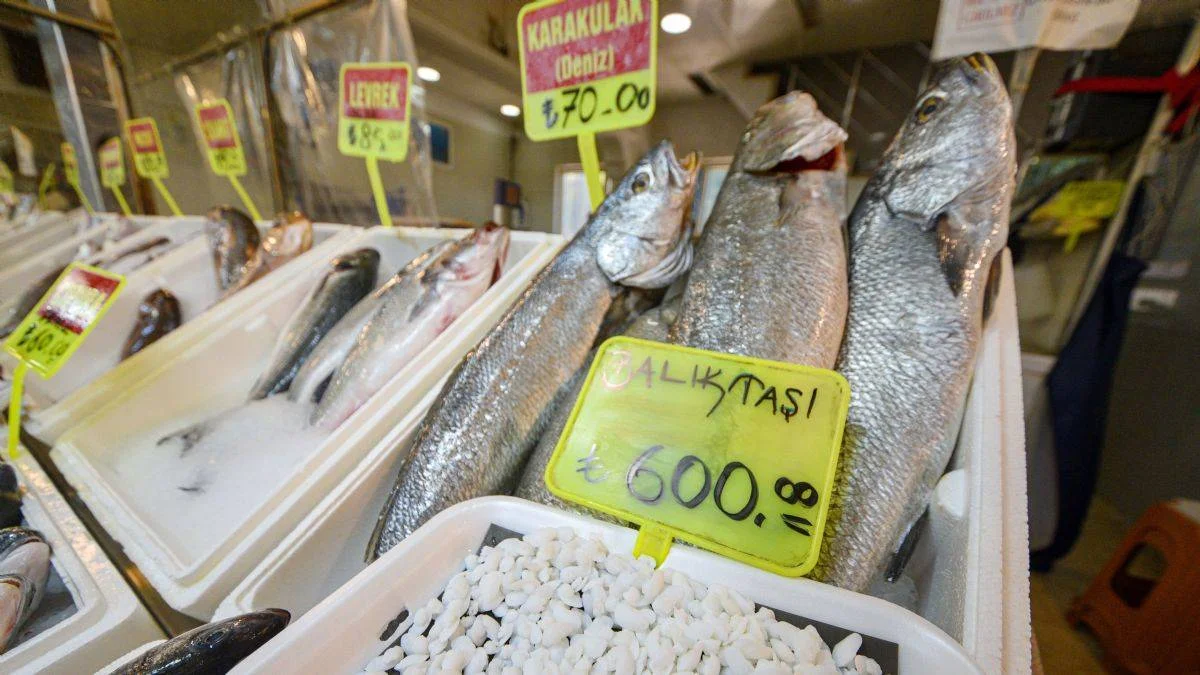 Balık 70, kafasındaki taş 600 lira