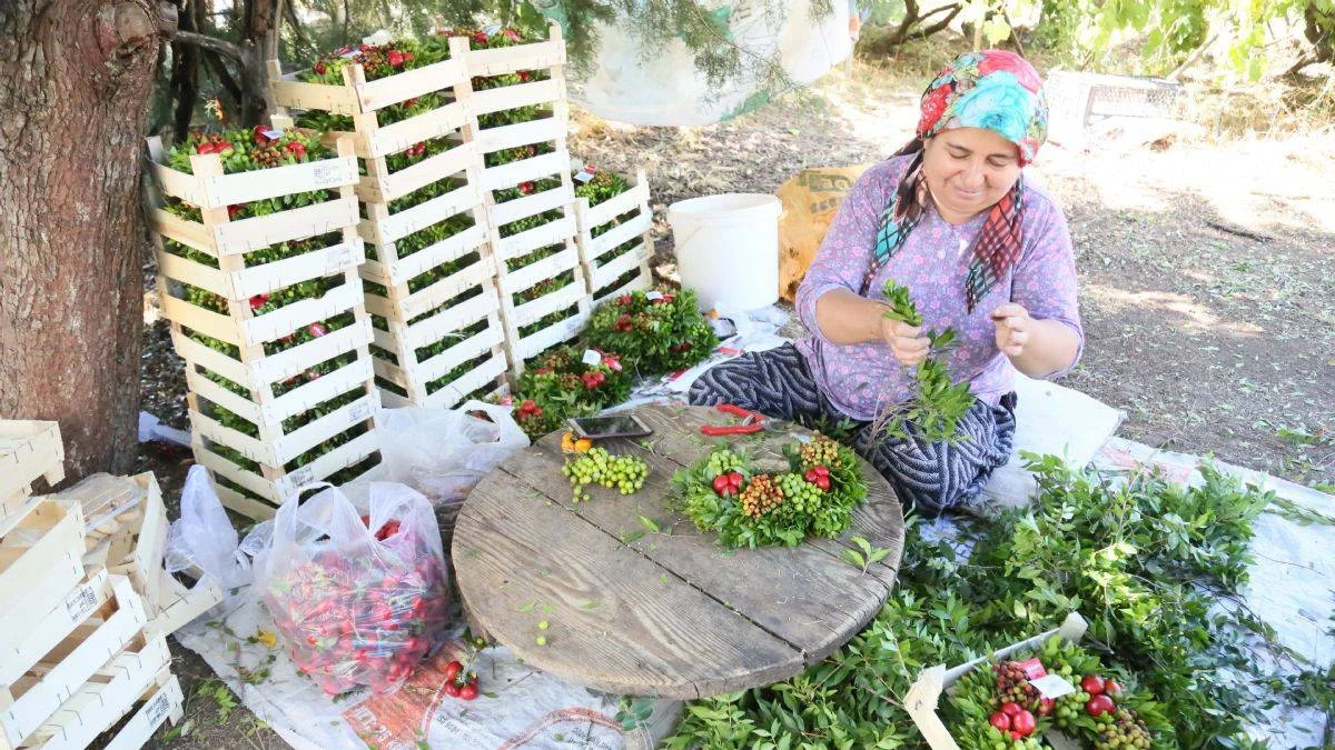Bu beldeden Avrupa'ya 1 milyon çelenk ihraç ediliyor