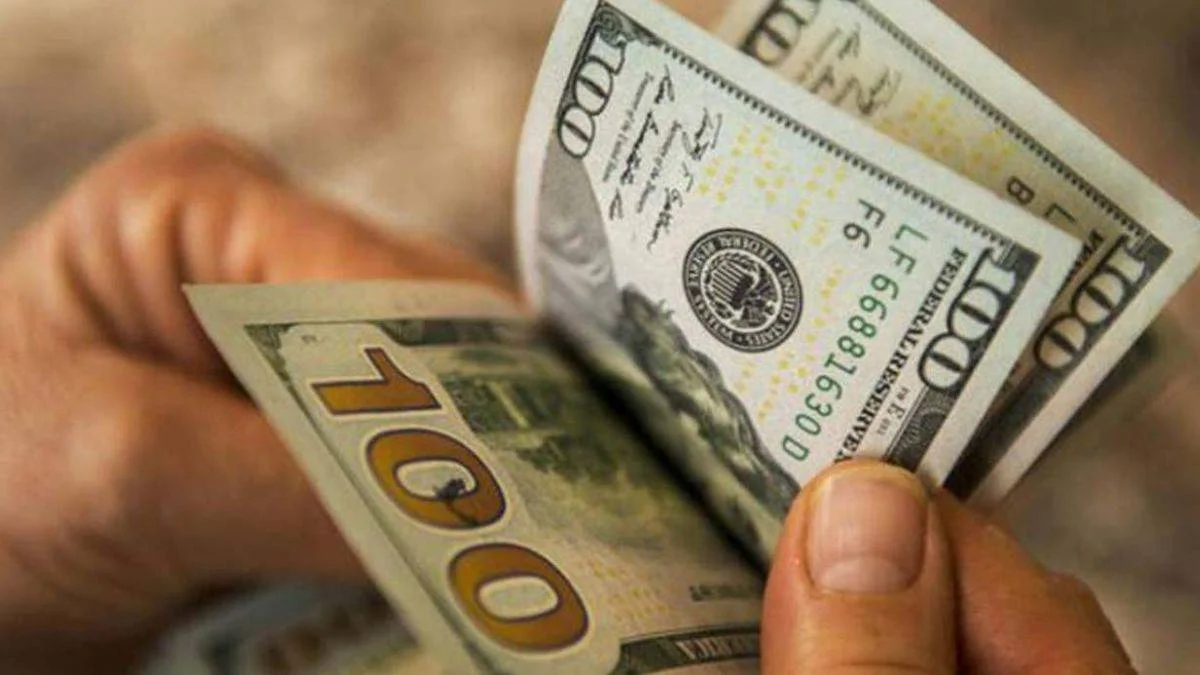 Dolar düşecek mi? Dolar yıl sonu ne kadar olur? MB yıl sonu dolar tahmini ne kadar?