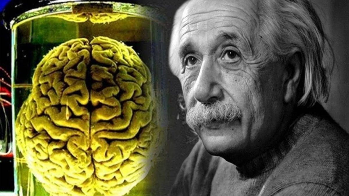 Einstein'ın beynini nasıl çaldılar!