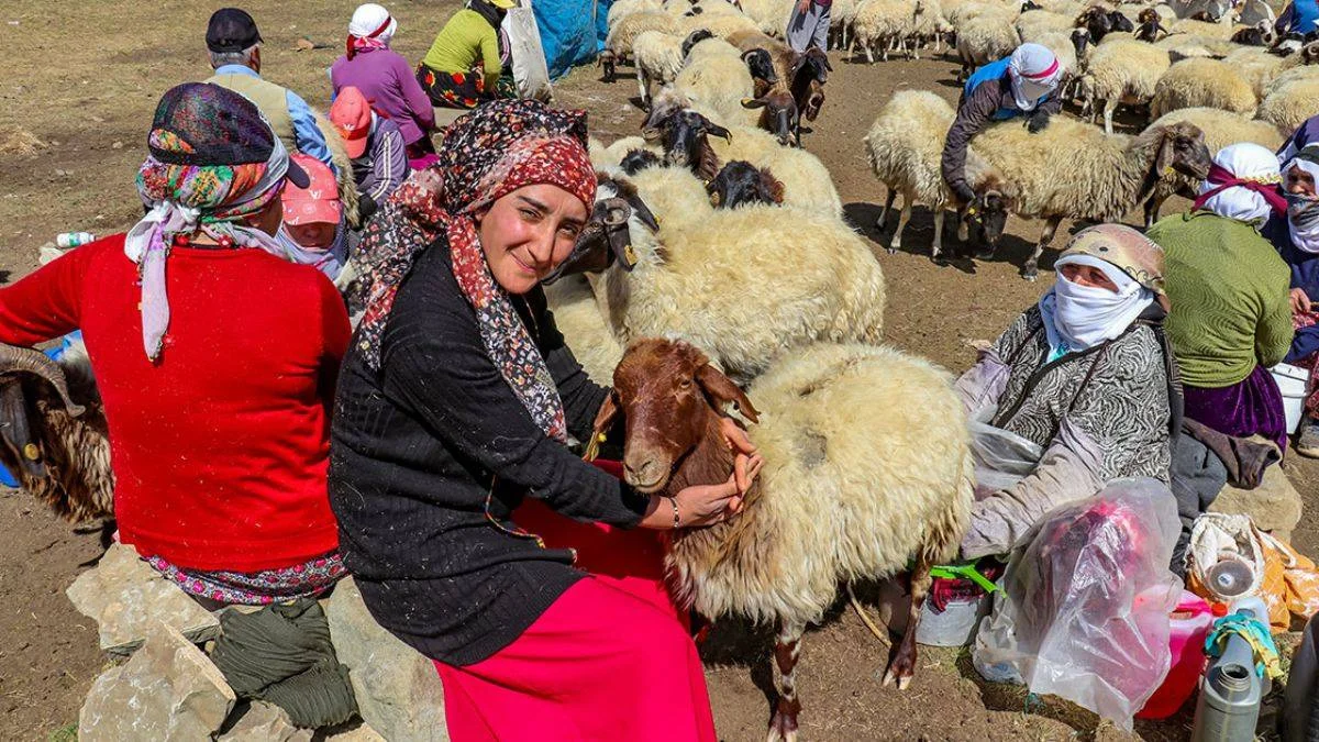 'Engelli Hibe Desteği' ile hayvancılığa başladılar