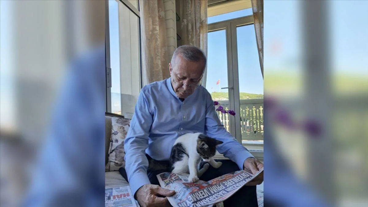 Erdoğan torununun kedisiyle fotoğrafını paylaştı