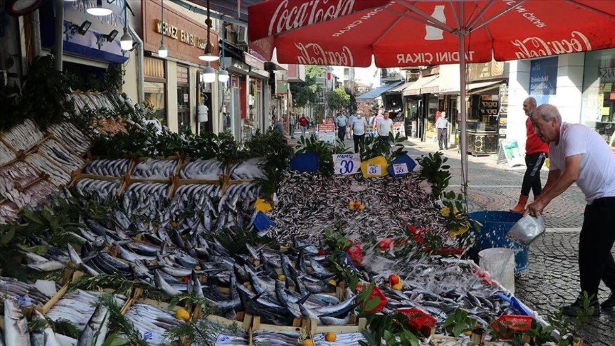 Hamsi ve istavrit bolluğu tezgahları şenlendirdi