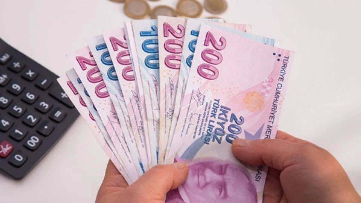 Hibe desteğine nasıl başvurulur?