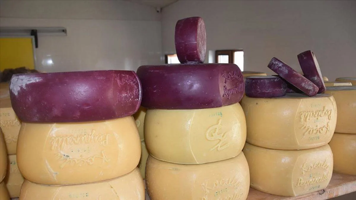 Kars'ta sebze ve meyvelerden mor renkte gravyer/kaşar peyniri üretiliyor