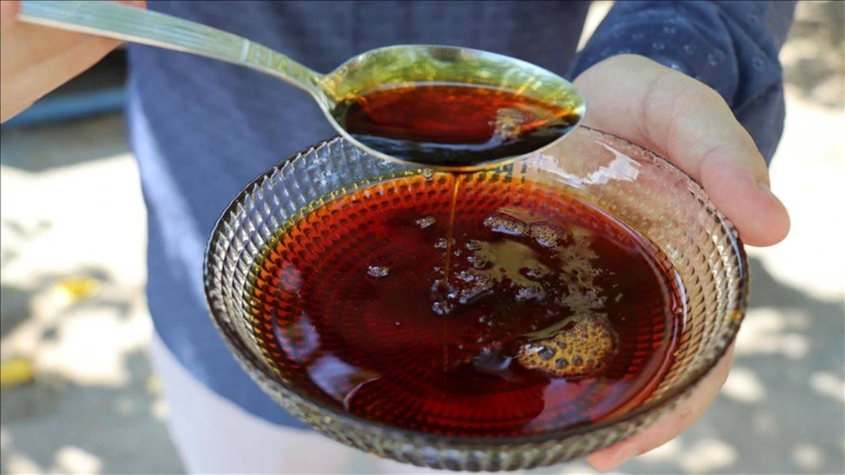 Kilis'in organik üzüm pekmezi 500 tona çıktı; kilosu 30-40 TL arasında