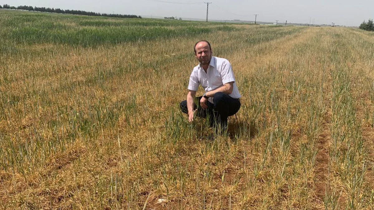 Kuraklıktan zarar gören üreticilere 214 milyon lira ödeme yapıldı