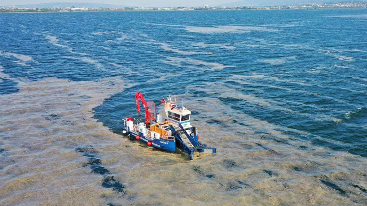 Marmara için kötü haber: 'Bu seneki manzarayı arayacağız'