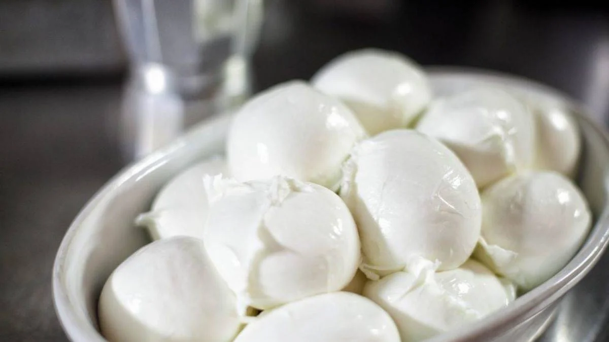 Mozzarella peyniri nasıl yapılır?
