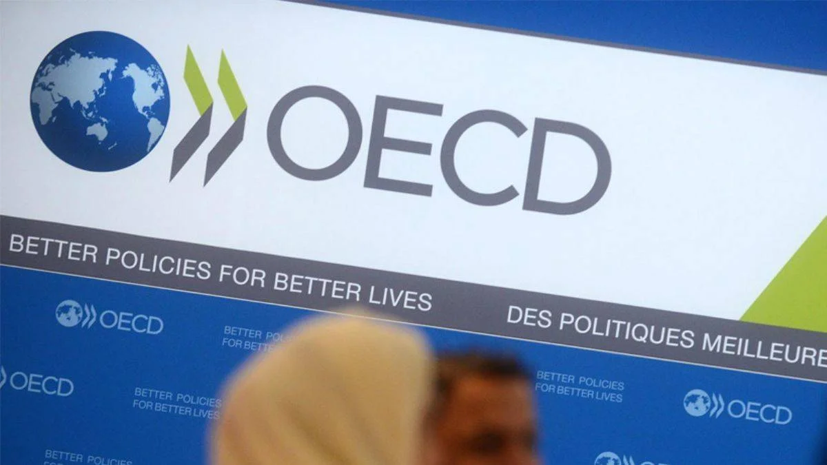 OECD'den Türkiye ekonomisi için büyüme tahmini