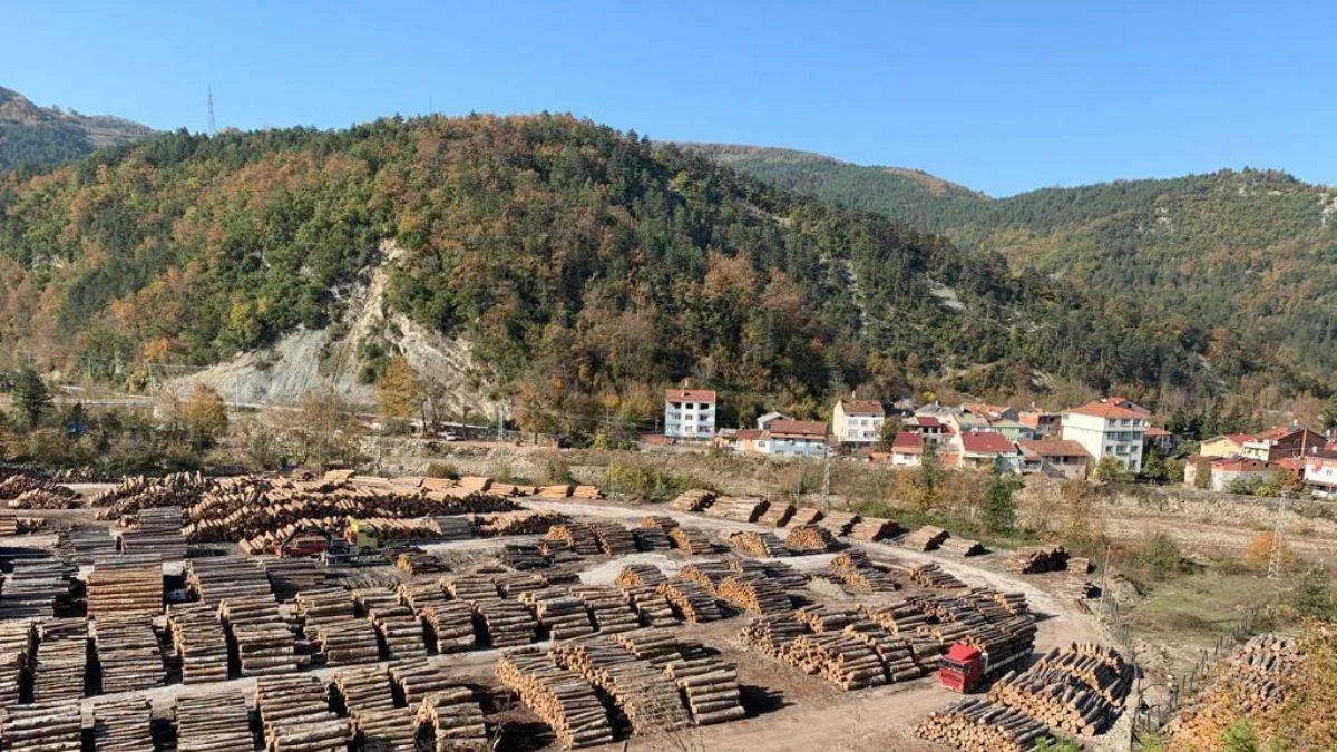 Sel bölgesinde 90 bin tomruk toplandı