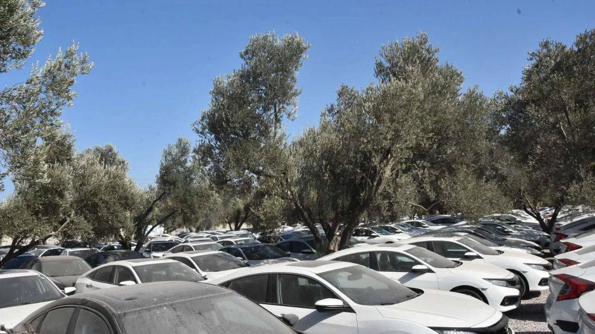Sıfır otomobillerde 'stokçuluk' iddiası