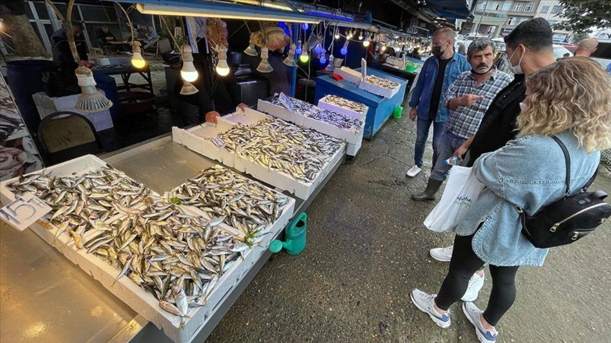 Trabzon'da istavrit bolluğu; 10 TL'ye düştü