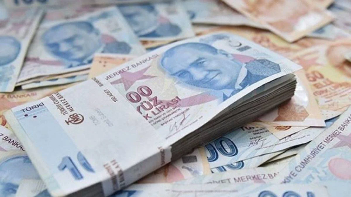 Türkiye'deki firmalar 10 yılda 2 trilyon lira harcadı
