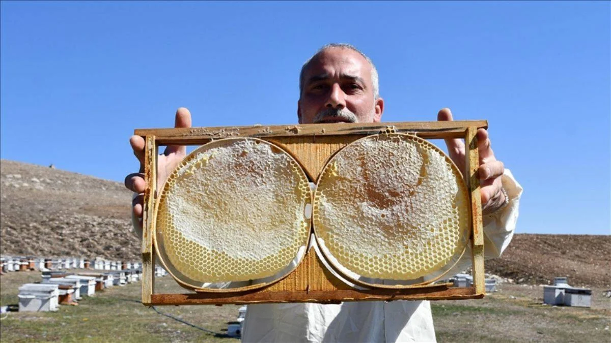 5 kovanla başladı, yılda 7 ton bal satıyor