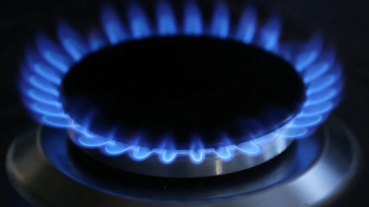 AB ikiye bölündü: Enerjide fiyat artışının sebebi ne?