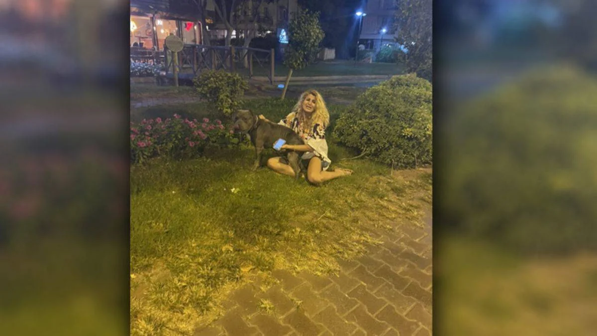 Antalya'da pitbull dehşeti! Bu defa bir köpeği öldürdü