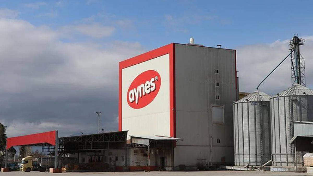 Aynes'in satışına onay çıkmadı