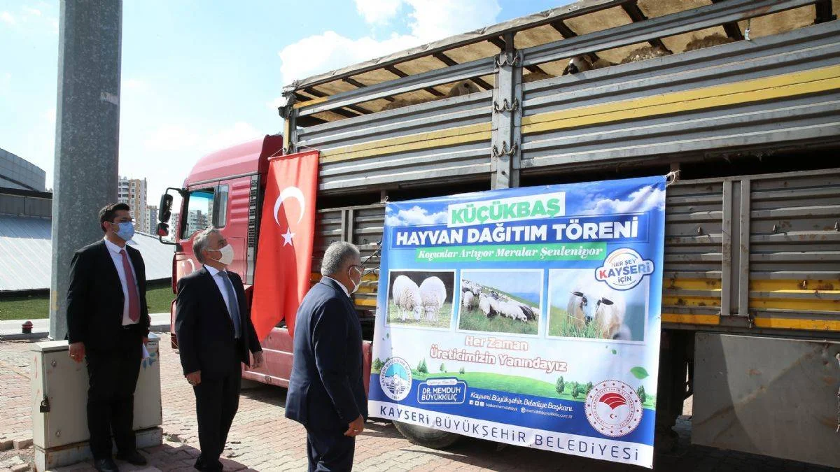 Başkan Büyükkılıç'tan '3 bin küçükbaş' müjdesi