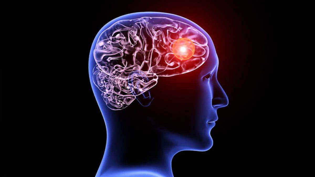 Beyin hücresinin fark edilmeyen bir işlevi bulundu: Alzheimer'a umut olabilir