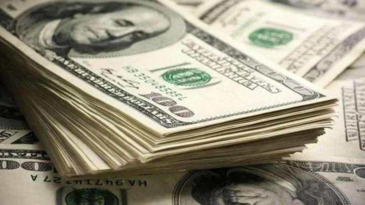 Büyükelçilerin açıklamasından sonra Dolar'da son durum