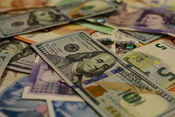 Döviz mevduatı yüzde 53'e çıktı