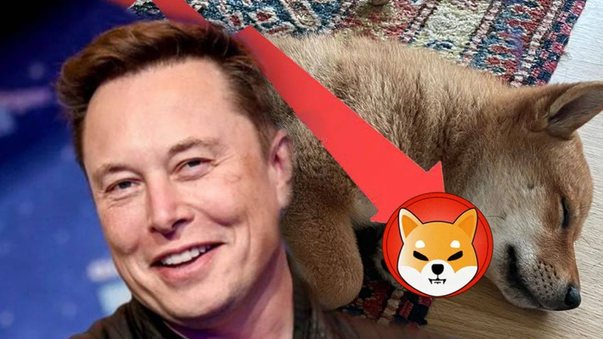 Elon Musk'ın açıklamasından sonra, yüzde 20 çakıldı