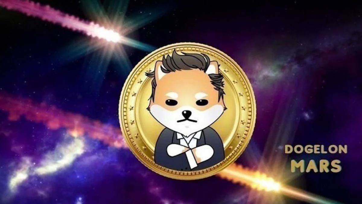 Elon Musk'tan ilham alan token ralli yaptı