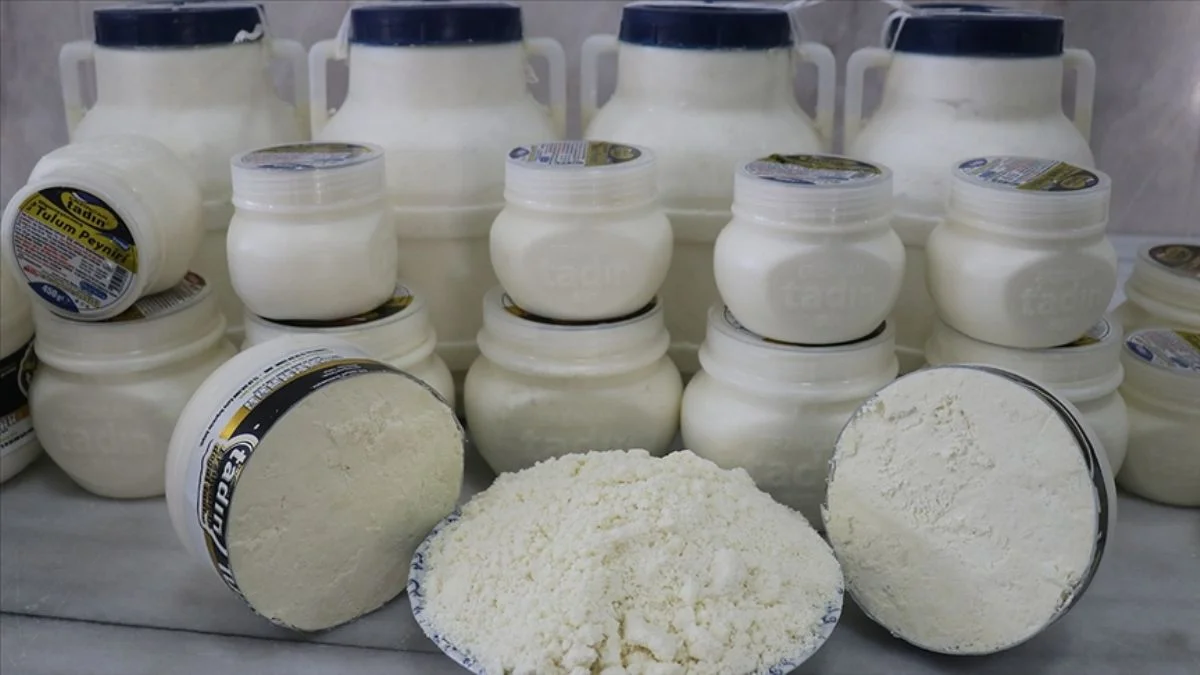 Erzincan tulum peyniri nasıl üretiliyor?