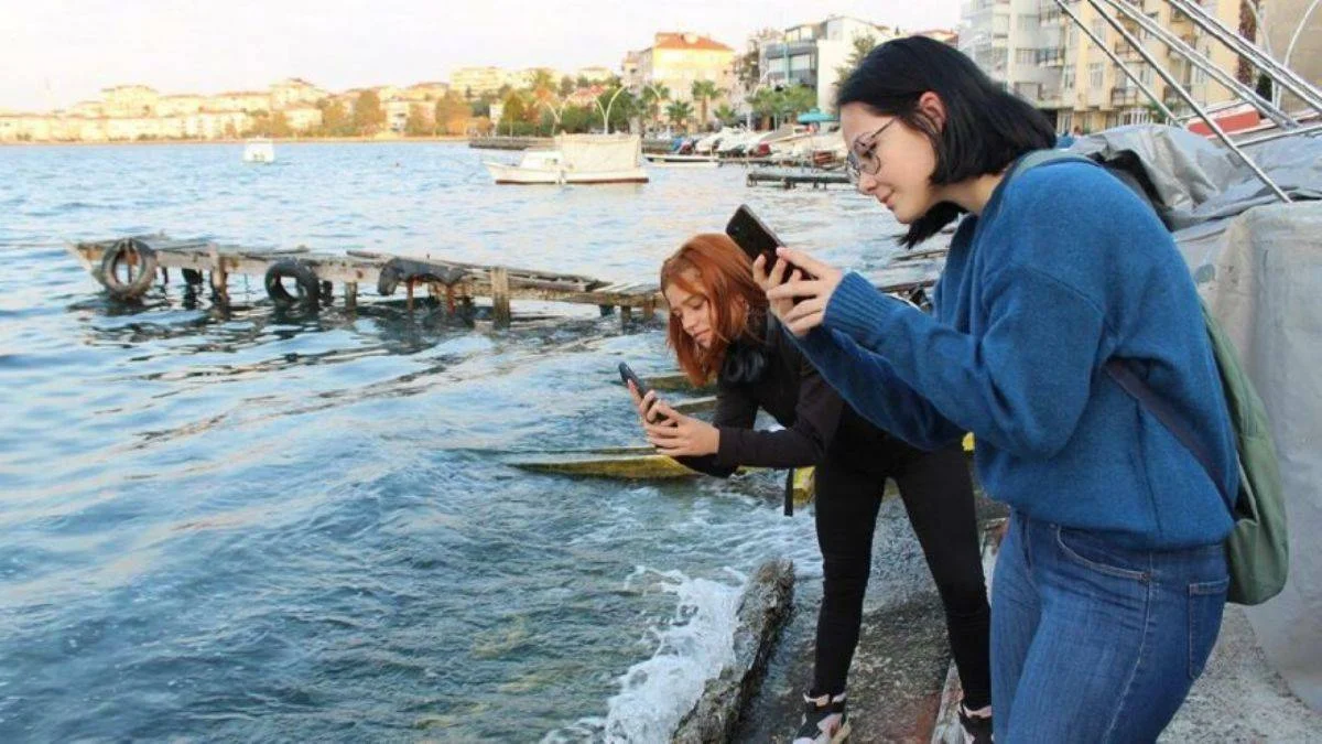 Gölcük'te denizanası istilası