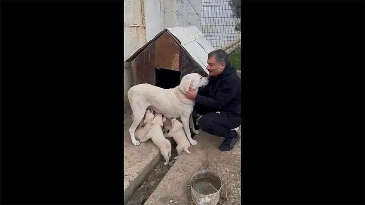 "Görenler, analı babalı büyüsünler dedi"