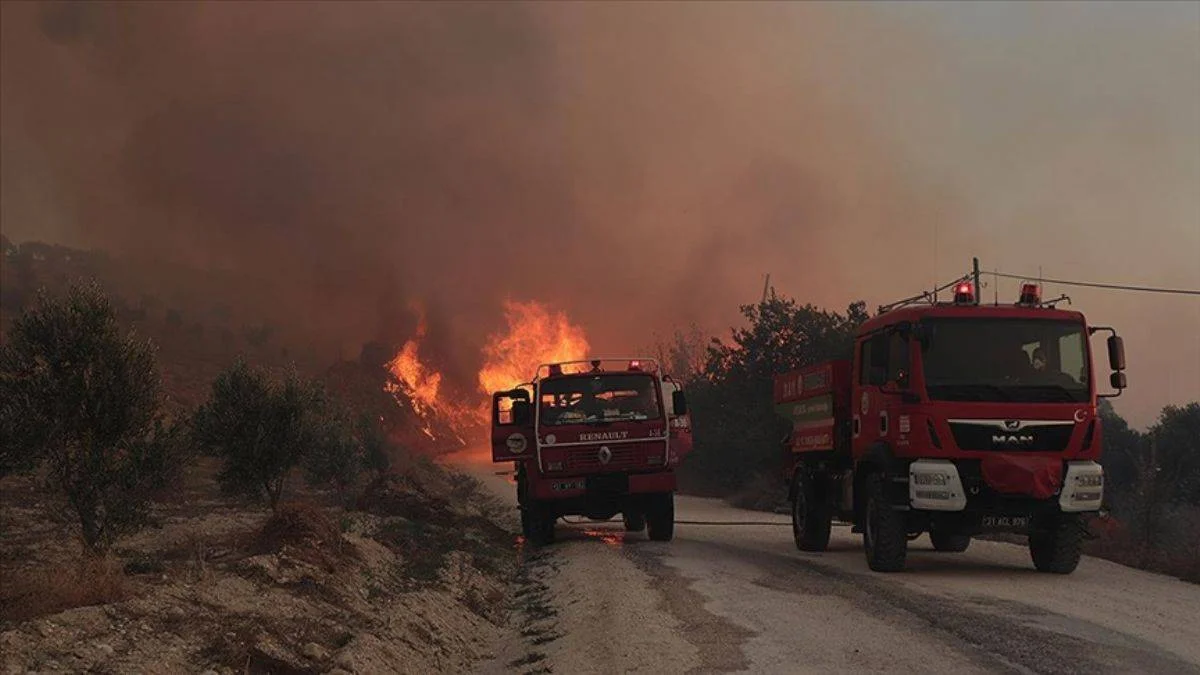 Hatay'da çıkan orman yangını