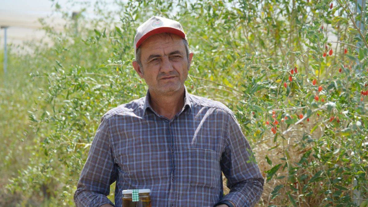 Hobi olarak başladı, şimdi Avrupa'ya ihraç ediyor