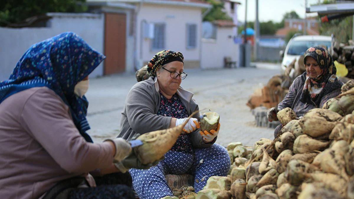 Kırklareli pekmezinin lezzeti pancardan geliyor