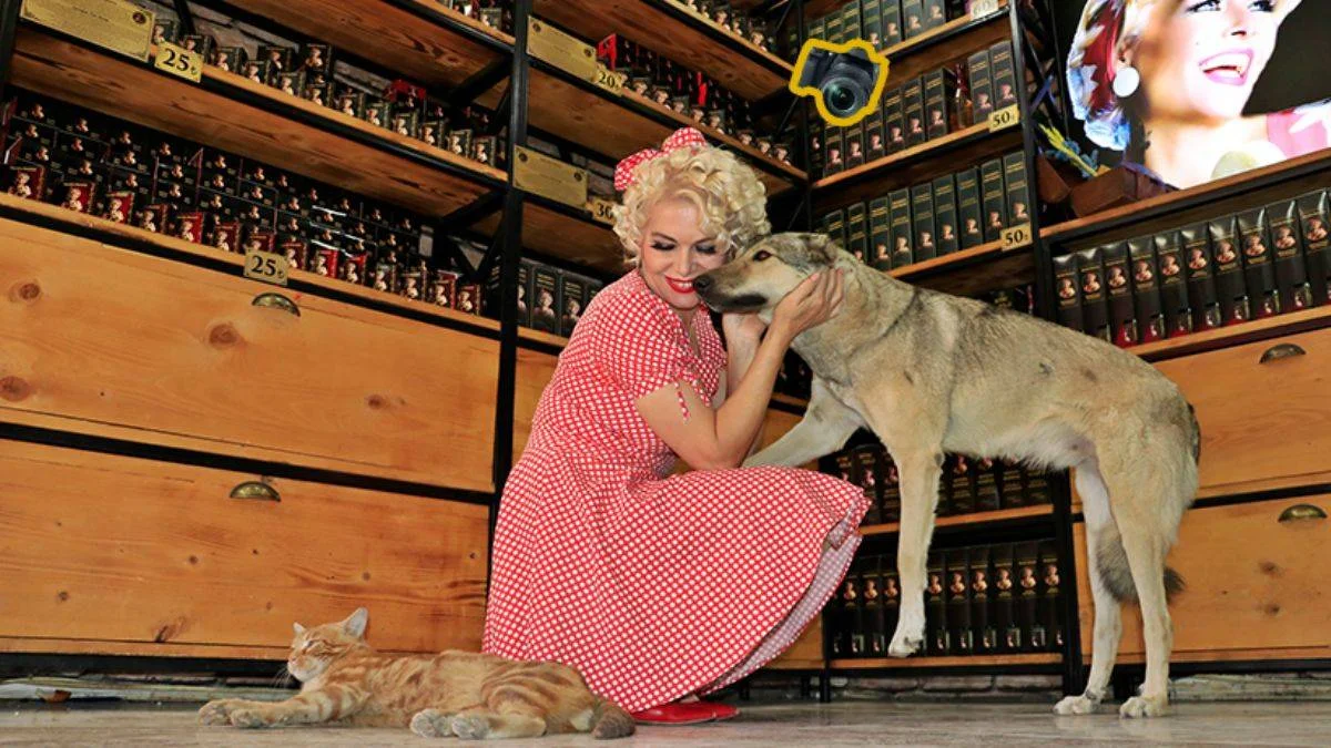 Mardinli Marilyn Monroe'nun sokak hayvanları sevgisi